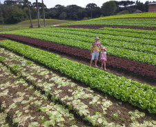  O produtor Bruno Schules, 32, de São José dos Pinhais, na Região Metropolitana de Curitiba (RMC), é um dos agricultores que trabalham com olericultura no Estado e recebem atendimento da Emater.  -  São José dos Pinhais, 04/04/2019  -  Foto: José Fernando Ogura/ANPr