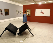Ana Rocha, diretora do Museu de Arte Contemporânea do Paraná(MAC/PR).Curitiba, 19 de fevereiro de 2019.Foto: Kraw Penas/SEEC