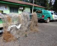 A Secretaria de Desenvolvimento Sustentável e Turismo e as equipes do Batalhão de Polícia Ambiental Força Verde aplicaram 930 autos de infração ambiental em 2019, em 190 municípios do Paraná, por desmatamento irregular (51%), posse ilegal ou maus tratos a animais (18%), efluentes industriais (17%) e pesca fora dos lugares permitidos por lei (5%). Cerca de 90% foi registrado pela polícia, o que resultou em mais de R$ 5 milhões em multas. Foto:Policia Ambiental