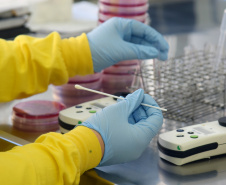 Marco de excelência nos serviços de saúde no Paraná, o Laboratório Central do Estado do Paraná (Lacen) se tornou também referência nacional para determinados exames, como os de resistência microbiana.  Foto: Antonio Américo/SESA - 13/05/2019