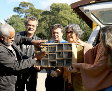 A Secretaria de Estado do Desenvolvimento Sustentável e do Turismo e o Instituto Ambiental do Paraná (IAP) realizaram nesta segunda-feira (10) a soltura de 30 aves apreendidas em operações de fiscalização. A soltura aconteceu no Criadouro Conservacionista Onça-Pintada, em Campina Grande do Sul, na Grande Curitiba. Ação integra as comemorações do Dia Internacional do Meio Ambiente. Foto: Jaelson Lucas/ANPr