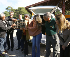 A Secretaria de Estado do Desenvolvimento Sustentável e do Turismo e o Instituto Ambiental do Paraná (IAP) realizaram nesta segunda-feira (10) a soltura de 30 aves apreendidas em operações de fiscalização. A soltura aconteceu no Criadouro Conservacionista Onça-Pintada, em Campina Grande do Sul, na Grande Curitiba. Ação integra as comemorações do Dia Internacional do Meio Ambiente. Foto: Jaelson Lucas/ANPr