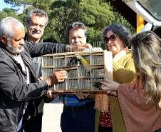 A Secretaria de Estado do Desenvolvimento Sustentável e do Turismo e o Instituto Ambiental do Paraná (IAP) realizaram nesta segunda-feira (10) a soltura de 30 aves apreendidas em operações de fiscalização. A soltura aconteceu no Criadouro Conservacionista Onça-Pintada, em Campina Grande do Sul, na Grande Curitiba. Ação integra as comemorações do Dia Internacional do Meio Ambiente. Foto: Jaelson Lucas/ANPr