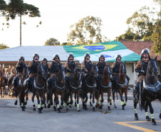 O governador Carlos Massa Ratinho Junior e o presidente em exercício Hamilton Mourão receberam nesta sexta-feira (28) a medalha Heróis da Cavalaria, da Polícia Montada Coronel Dulcídio. A condecoração foi entregue na cerimônia, em Curitiba, que comemora os 140 anos do regimento, que é a unidade mais antiga da Polícia Militar do Paraná.  -  Curitiba, 28/06/2019  -  Foto: José Fernando Ogura/ANPr