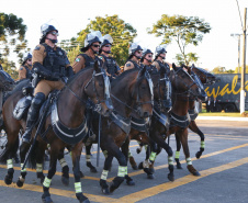 O governador Carlos Massa Ratinho Junior e o presidente em exercício Hamilton Mourão receberam nesta sexta-feira (28) a medalha Heróis da Cavalaria, da Polícia Montada Coronel Dulcídio. A condecoração foi entregue na cerimônia, em Curitiba, que comemora os 140 anos do regimento, que é a unidade mais antiga da Polícia Militar do Paraná.  -  Curitiba, 28/06/2019  -  Foto: José Fernando Ogura/ANPr