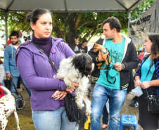 A Secretaria de Estado do Desenvolvimento Sustentável e do Turismo, em parceria com a Prefeitura de Pontal do Paraná, promove uma ação para castração gratuita de cães e gatos do município, incluindo a Ilha do Mel. Foto: Denis Ferreira Netto/SEDEST