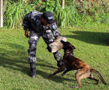 A soldado Angélica Aparecida Chuede é a primeira mulher a fazer parte da Companhia de Operações com Cães (COC) do Batalhão de Operações Especiais (BOPE), em 47 anos de criação da subunidade. A inclusão da militar estadual aconteceu com a formatura dela no Curso de Cinotecnia na última semana, que fez todas as etapas com seu cão Hunter.  -  Curitiba, 04/07/2019  =-  Foto: Soldado Amanda Morais