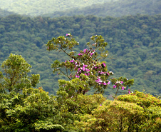 Parque Estadual Serra da Baitaca. Foto: Denis Ferreira Netto/SEDEST