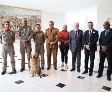 O governador em exercício Darci Piana foi escolhido pelo Instituto Boina Azul, do Rio Grande do Sul, para representar o Paraná na homenagem à Segurança Pública do Estado. A solenidade de entrega da Medalha de Grau Cavaleiro ocorreu nesta quinta-feira (18) no salão de atos do Palácio Iguaçu. Foto: José Fernando Ogura/ANPr