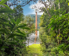 Mananciais da Serra estarão abertos no próximo domingo. Foto: Sanepar