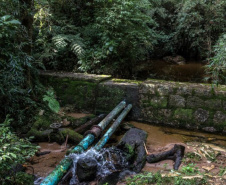 Mananciais da Serra estarão abertos no próximo domingo. Foto: Sanepar