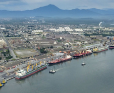 As exportações de carne porco pelo Porto de Paranaguá cresceram 58% na comparação entre o primeiro semestre de 2018 e o de 2019. Neste ano, foram 36,2 mil toneladas exportadas do produto, com receita gerada de US$ 76 milhões. De janeiro a junho do ano anterior saíram do terminal 23 mil toneladas com rumo a outros países, somando US$ 49 milhões em receita. Foto: José Fernando Ogura/ANPr