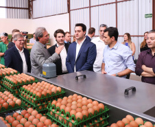 O governador Carlos Massa Ratinho Junior participou nesta terça-feira (23), em Cascavel, do evento de certificação SISBI (Sistema Brasileiro de Inspeção de Produtos de Origem Animal) para a Granja Refem, que desenvolve um projeto pioneiro no Estado de produção de ovos a partir da criação de galinhas sem gaiola. Foto: Rodrigo Felix Leal/ANPr