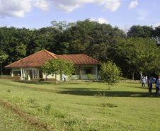 Parque Estadual Mata dos Godoy.
Foto: Divulgação IAP