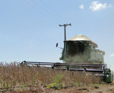 Máquinas cada vez mais altas cruzam os campos durante o plantio, a pulverização e a colheita da plantação. Mas a tecnologia que agiliza o trabalho no campo também exige uma atenção maior do produtor para um risco que nem sempre é lembrado: o toque acidental na fiação elétrica. Foto: Divulgação/Copel