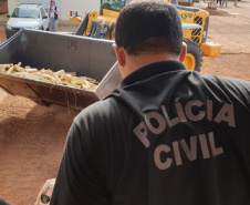 Polícia Civil incinera 7,7 toneladas de drogas. Foto: Divulgação/Polícia Civil