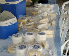 Produtores de queijo do Paraná participam de concurso nacional . Foto: Divulgação/Emater
