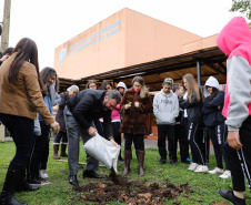 O diretor de Operações do BRDE Wilson Bley, participa do plantio de árvore no Colégio Estadual Pilar Maturana, em Curitiba. Foto:Rodolfo Buhrer 