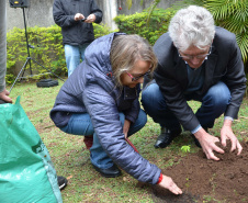 O secretário da Agricultura Norberto Ortigara, participa do  plantio de árvore, no colégio Leôncio Correia. Foto: Gisele Barão/SEAB
