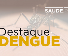 Com nova estação, Paraná intensifica prevenção contra dengue