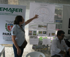 A engenheira agrônoma do Emater, Daniele Martins Sandri, passa do ensinamento sobre as hortas e distribuía receitas. Foto: Divulgação/SEAB