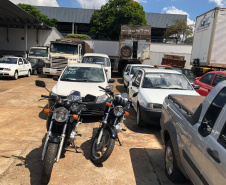 Leilão de veículos soma R$ 487 mil para o combate ao tráfico. Foto: Divulgação/SESP