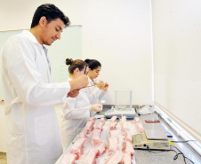 	UEL desenvolve técnica rápida para identificar fraude em carnes. Foto: Divulgação/UEL