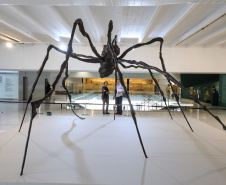 O Museu Oscar Niemeyer conta com as mostras Spider (Aranha), da artista francesa Louise Bourgeois, e Declaração de Princípios, que reúne trabalhos recentes e inéditos do artista paranaense Geraldo Leão. Foto: José Fernando Ogura/AEN
