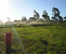 Uso de tensiômetro garante eficiência da irrigação no campo. Foto: Divulgação/Emater