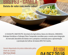 Ceasa Curitiba apresenta nova cultivar de batata. Foto: Divulgação/SEAB