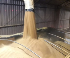 O Porto de Paranaguá embarca nesta semana a primeira carga de DDGS, um coproduto do processamento do milho para a fabricação de etanol – o que sobra do grão. A operação será um teste para que o produto passe a entrar na rotina das exportações paranaenses a granel. Neste primeiro lote, 27,5 mil toneladas serão levadas à Inglaterra pelo navio Interlink Acuity.Foto: Divulgação/INPASA