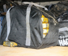Polícias apreendem 107 toneladas de drogas de janeiro a setembro. Foto:SESP