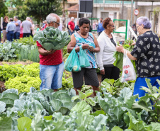 Inauguração da Horta Comunitária Moradias Marumbi do programa da Secretaria de Estado da Agricultura e do Abastecimento,  nesta quinta-feira (16), no bairro Uberaba, em Curitiba