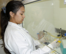 Pesquisadores destacam fomento
à pesquisa no combate ao câncer. Foto:SESA
