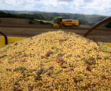 VBP agropecuário do Paraná de 2019 pode atingir R$ 93 bilhões. Foto: Jonas Oliveira/Arquivo/AEN