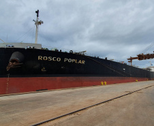 Portos do Paraná garantem segurança em todas as operações. Foto: Najia Furlan