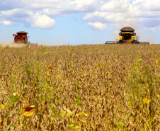 Paraná deverá produzir 41,2 milhões de toneladas de grãos. Fotos:Jaelson Lucas / AEN