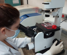 Universidades estaduais iniciam processo para fazer exames do coronavírus.
  Foto: Divulgação/Fundção Araucária