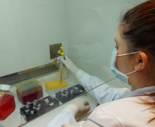 Universidades estaduais iniciam processo para fazer exames do coronavírus.
 Foto: Divulgação/Fundção Araucária