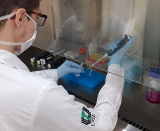 Universidades estaduais iniciam processo para fazer exames do coronavírus.
 Foto: Divulgação/Fundção Araucária