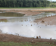 Levantamento do Simepar apontou que nove cidades, de quase todas as regiões do Estado, tiveram chuvas bem abaixo da média histórica entre os meses de junho de 2019 a março de 2020. Redução média na precipitação foi de 33% nos municípios pesquisados.08/04/2020 - Foto: Geraldo Bubniak/AEN