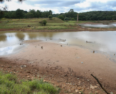 Levantamento do Simepar apontou que nove cidades, de quase todas as regiões do Estado, tiveram chuvas bem abaixo da média histórica entre os meses de junho de 2019 a março de 2020. Redução média na precipitação foi de 33% nos municípios pesquisados.08/04/2020 - Foto: Geraldo Bubniak/AEN