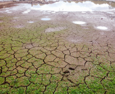 Levantamento do Simepar apontou que nove cidades, de quase todas as regiões do Estado, tiveram chuvas bem abaixo da média histórica entre os meses de junho de 2019 a março de 2020. Redução média na precipitação foi de 33% nos municípios pesquisados.08/04/2020 - Foto: Geraldo Bubniak/AEN