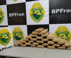 BPFron apreende 5,4 toneladas de maconha no 1.º quadrimestre. Foto:PMPR
