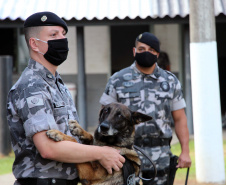 Lótus, Kira e Loba viveram uma grande história na Companhia de Operações com Cães (COC) do Batalhão de Operações Especiais (BOPE) ao longo de quase 9 anos de atividade