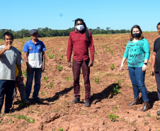 O Governo do Estado reforça o atendimento a comunidades tradicionais neste período de pandemia do coronavírus. Neste mês estão sendo entregues cerca de 1800 cestas básicas a famílias indígenas, quilombolas, ribeirinhos, ilhéus e pescadores artesanais da região Oeste do Paraná. Foto:Neelson Andrade/SUDIS