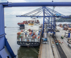 Exportação de algodão cresce 3.098% nos portos do Paraná.