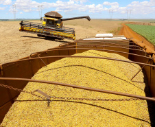 Paraná estima safra de grãos acima de 40 milhões de toneladas. Fotos:Jaelson Lucas / AEN