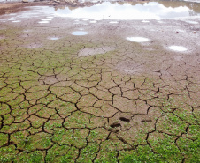 Paraná aposta na tecnologia conscientizar sobre uso racional da água. Foto: Geraldo Bubniak/AEN
