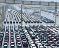 Porto de Paranaguá retoma exportação de automóveis
